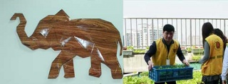 卡鉑連鎖洗衣加盟，挑對(duì)品牌讓你成為時(shí)代的佼佼者